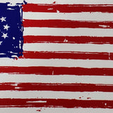 1776 Bumper Sticker